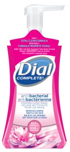 DIAL Silk and Magnolia Foaming Hand Wash